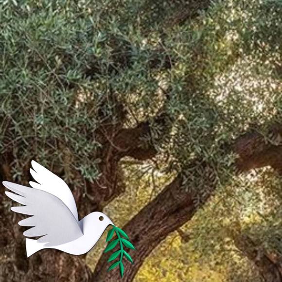 Meet your Posher, Muna - Picture 1 of 1